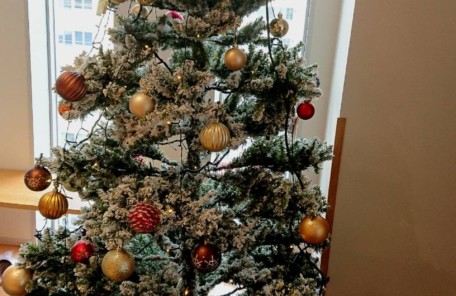 旭川の中心部でインプラント治療を行なっているエルム駅前歯科クリスタルです。インプラント治療をご希望の方はお問い合わせください。もうすぐクリスマスですね。当院でもクリスマスツリーなどの装飾がたくさん飾ってありますので、来院した際にご覧になってみてくださいね。
